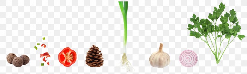Vegetable Garlic Capsicum Annuum Onion, PNG, 1074x322px, Vegetable, Brand, Capsicum Annuum, Commodity, Designer Download Free