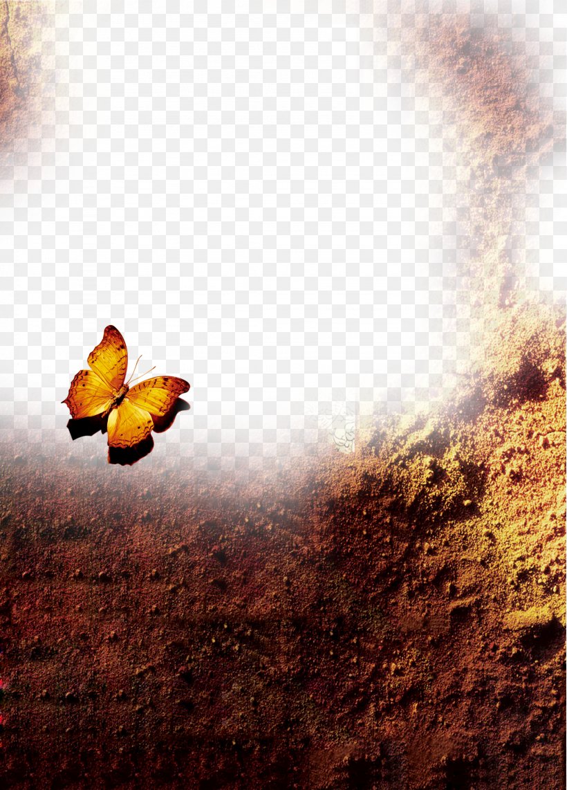 Butterfly Rain Download Weather, PNG, 2256x3142px, Butterfly, Climate, Designer, Gratis, Insect Download Free