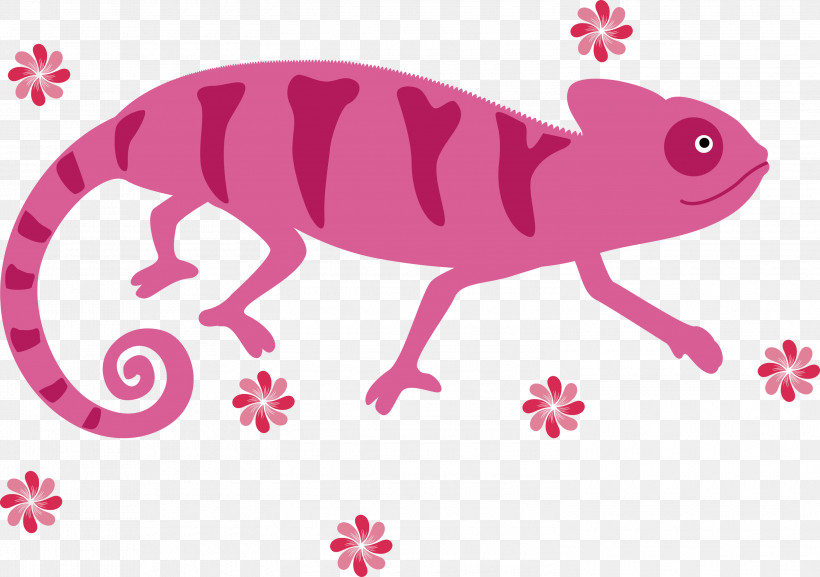 Chameleon, PNG, 3000x2114px, Chameleon, Biology, Cartoon, Meter, Reptiles Download Free