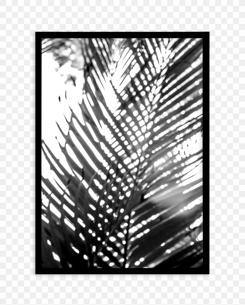 Photography Palm Springs Poster Font Palmier, PNG, 1874x2336px, Photography, Black, Black And White, Branch, Monochrome Download Free