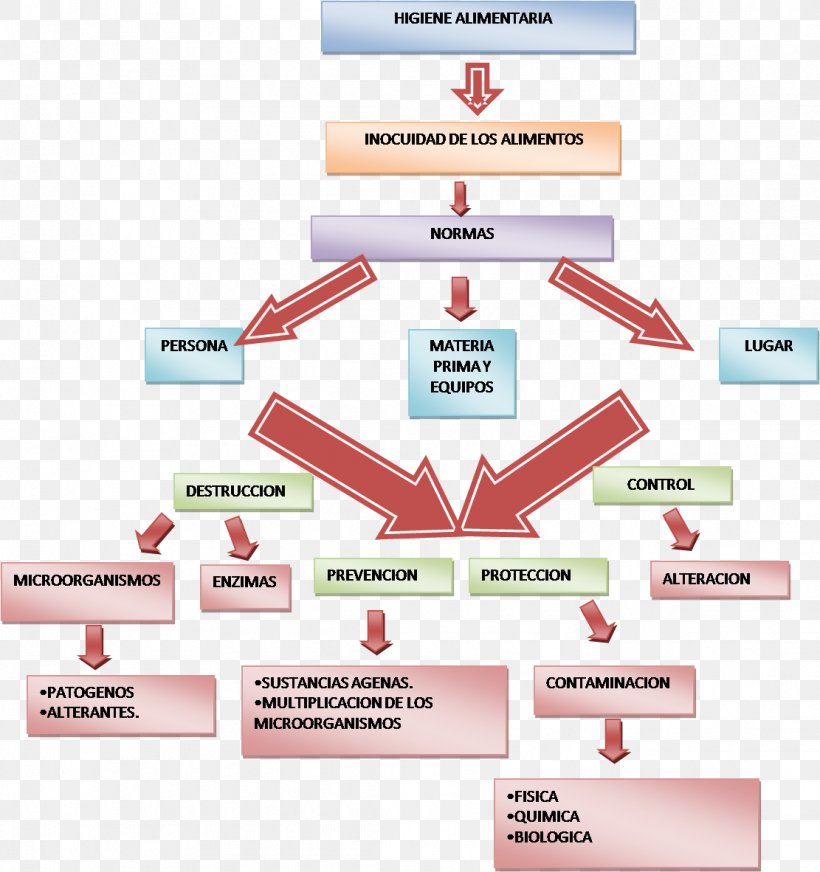 Food Safety Hygiene Manipulador De Alimentos Food Industry, PNG, 1111x1182px, Food Safety, Brand, Diagram, Food, Food Industry Download Free