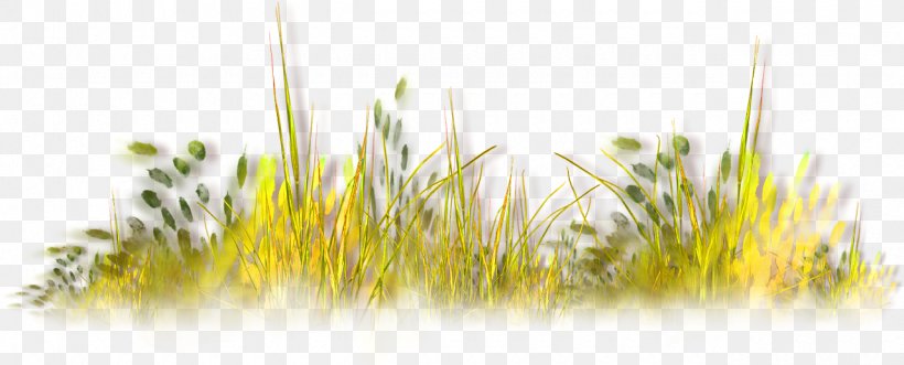 Autumn Grass, PNG, 1280x517px, Lawn, Computer Graphics, Grass, Grass Family, Plant Download Free