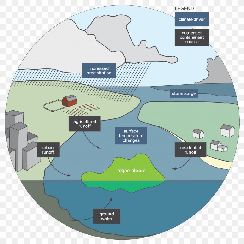 Harvard T.H. Chan School Of Public Health Water Resources, PNG, 2046x2046px, Water, Common Cold, Conflict, Density, Displacement Download Free