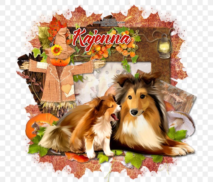 Rough Collie Shetland Sheepdog Old English Sheepdog Dog Breed Companion Dog, PNG, 700x700px, Rough Collie, Breed, Collie, Companion Dog, Dog Download Free