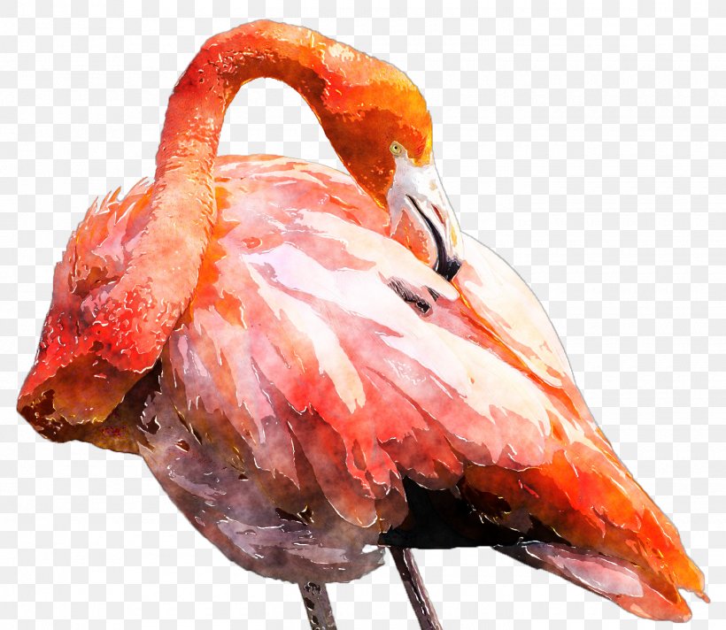 Watercolor Painting Art Clip Art, PNG, 1420x1233px, Watercolor Painting, Art, Artist, Beak, Bird Download Free