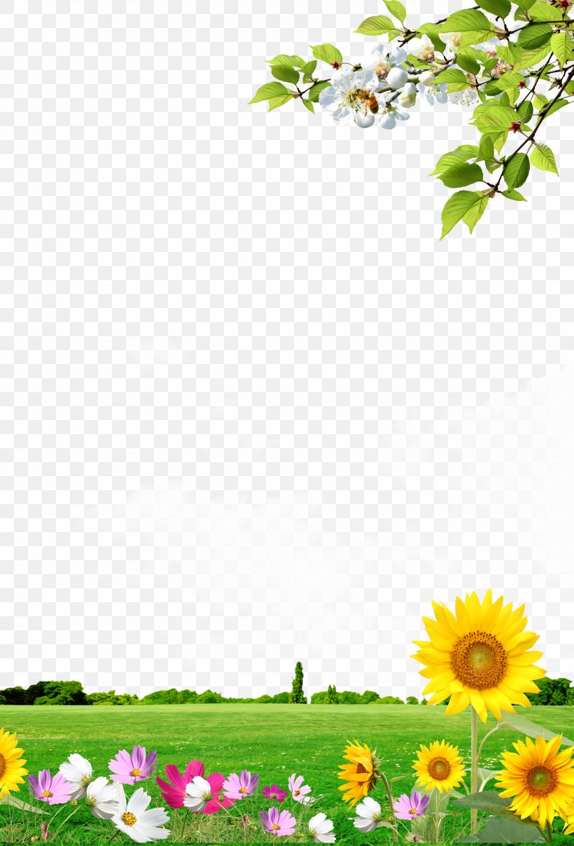 Background Scenery Panels, PNG, 3366x4961px, Landscape, Dahlia, Daisy, Daisy Family, Field Download Free