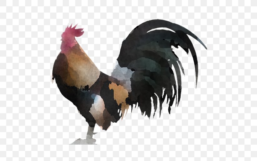 Chicken Bird Rooster Comb Beak, PNG, 640x512px, Chicken, Beak, Bird, Comb, Fowl Download Free
