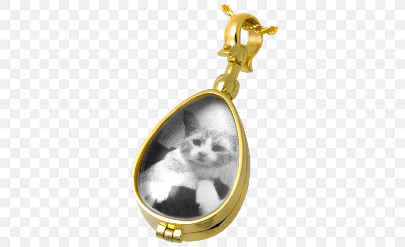 Locket Silver Body Jewellery Cremation, PNG, 500x500px, Locket, Body Jewellery, Body Jewelry, Cat, Cat Like Mammal Download Free