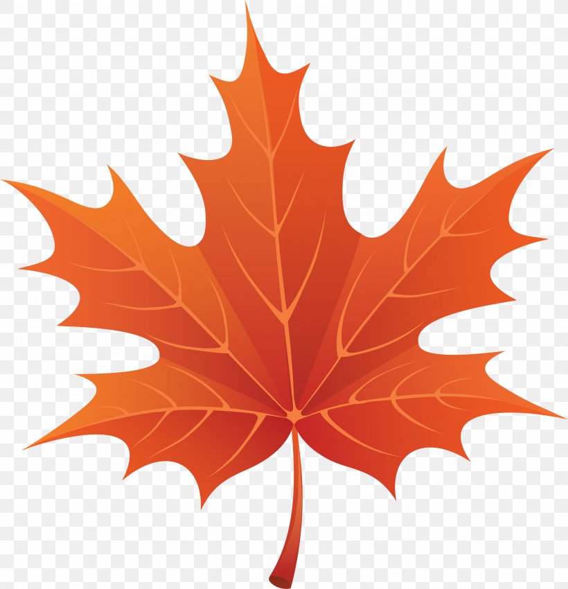 Maple Leaf Clip Art, PNG, 3392x3519px, Maple Leaf, Autumn, Autumn Leaf Color, Blog, Canadian Maple Leaf Download Free