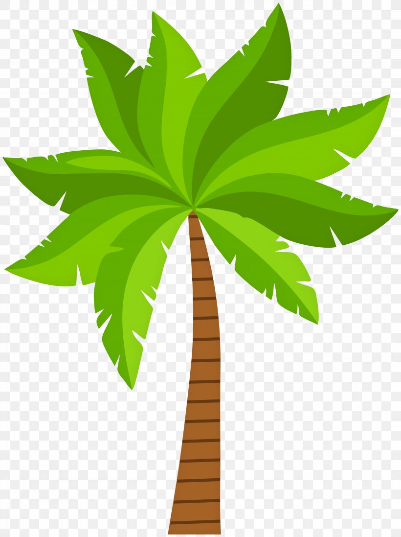 Clip Art Image Vector Graphics, PNG, 5978x8000px, Palm Trees, Arecales, Com, Flowering Plant, Flowerpot Download Free