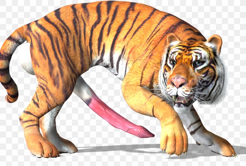 Tiger Big Cat Wildlife Animal, PNG, 1026x695px, Tiger, Animal, Animal Figure, Big Cat, Big Cats Download Free