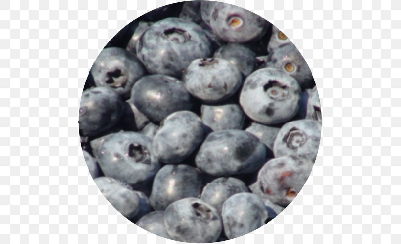 Blueberry Bilberry Superfood Prune Pruning, PNG, 500x500px, Blueberry, Berry, Bilberry, Food, Fruit Download Free