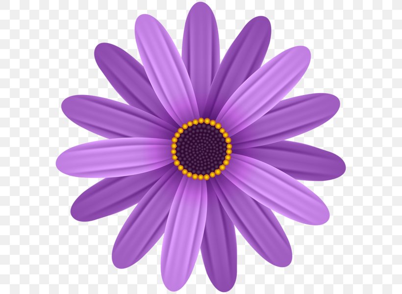 Common Daisy Flower Clip Art, PNG, 599x600px, Common Daisy, Aster, Blue, Chrysanths, Clipping Path Download Free