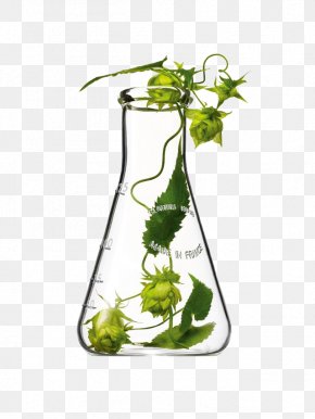 Beaker Plant - Cosmetics Clarins Skin Care Still Life Photography PNG