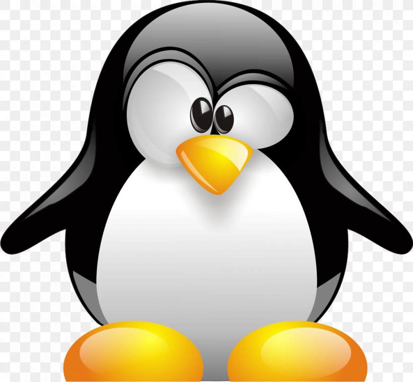 Tux Linux User Group Pale Moon, PNG, 1000x926px, Tux, Beak, Bird, Computer Software, Copyright Download Free