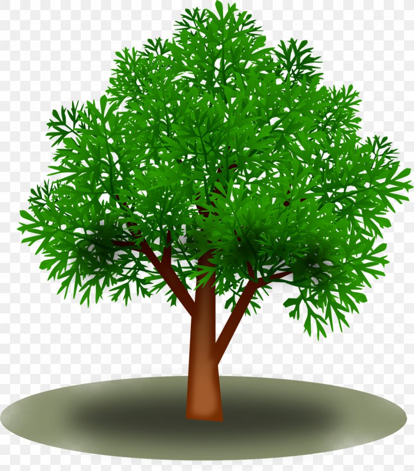 Leaf Tree Green Clip Art, PNG, 1126x1280px, Leaf, Branch, Evergreen, Flowerpot, Forest Download Free