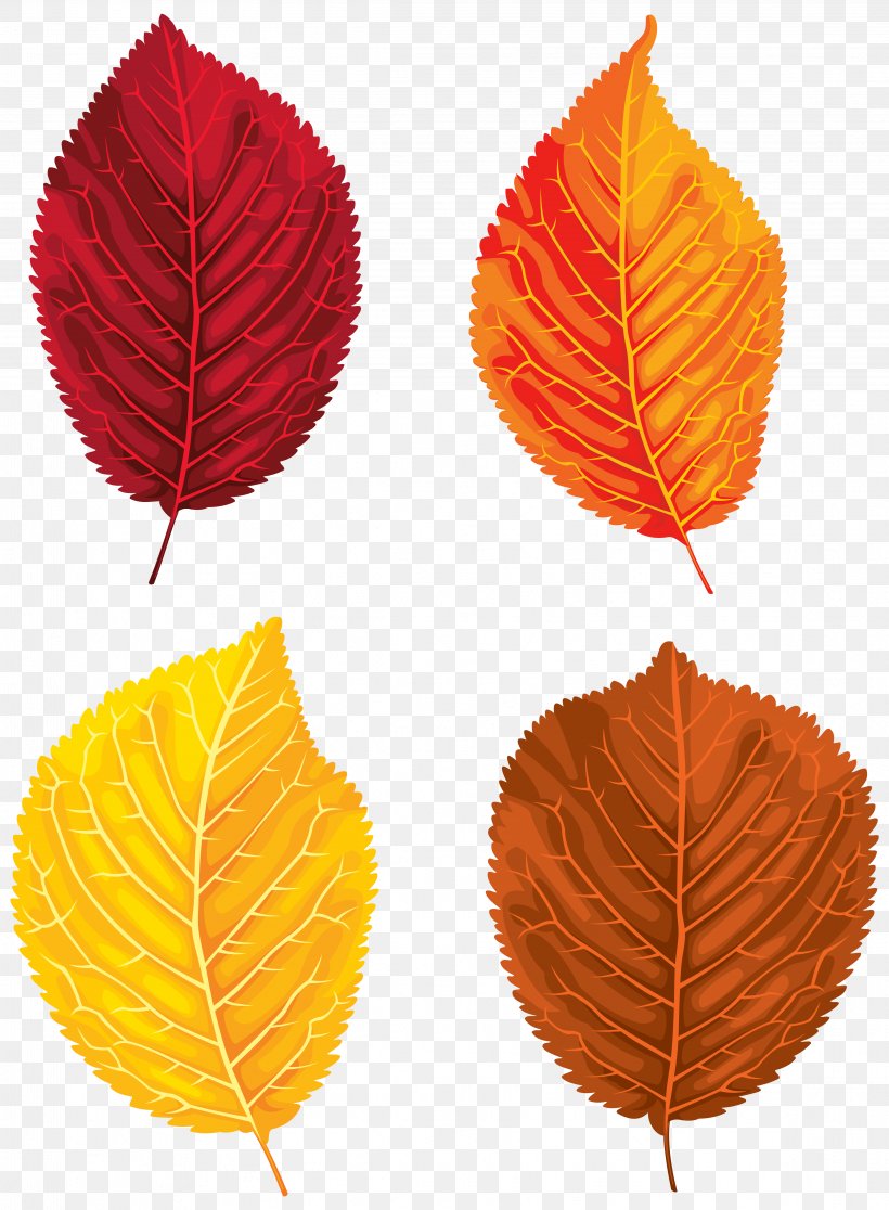 Santa Claus Autumn Leaf Color Clip Art, PNG, 4647x6327px, Leaf, Orange, Petal, Plant Download Free