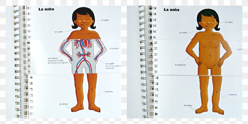 Human Body Homo Sapiens Curiosity Human Behavior, PNG, 1600x800px, Watercolor, Cartoon, Flower, Frame, Heart Download Free