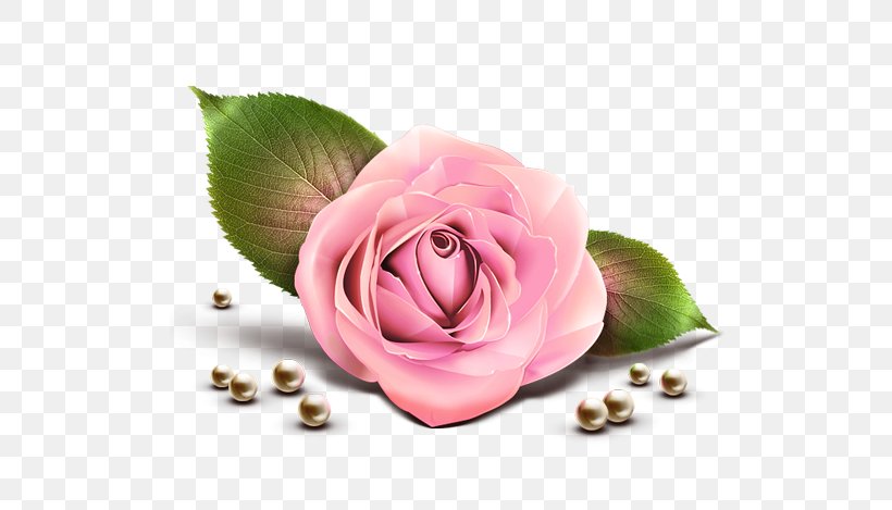 Rose Clip Art, PNG, 546x469px, Rose, Floral Design, Flower, Flowering Plant, Free Download Free