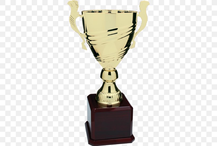 Trophy Award Medal Cup Commemorative Plaque, PNG, 554x554px, Trophy, Acrylic Trophy, Award, Banner, Commemorative Plaque Download Free