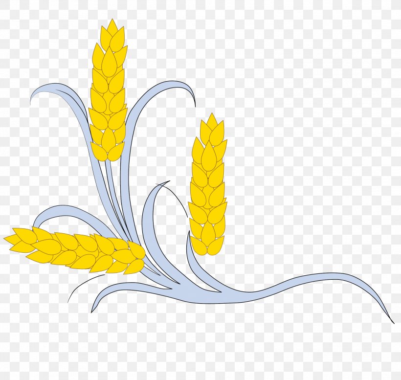 Crop Drawing Illustration, PNG, 2083x1975px, Crop, Commodity, Drawing, Flora, Flower Download Free