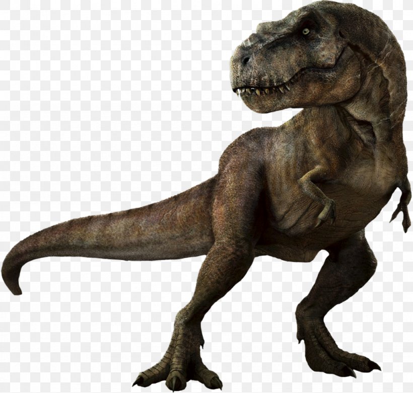 Tyrannosaurus Rex Dinosaur Velociraptor Triceratops, PNG, 1024x976px, Tyrannosaurus Rex, Apatosaurus, Dinosaur, Edmontosaurus, Extinction Download Free