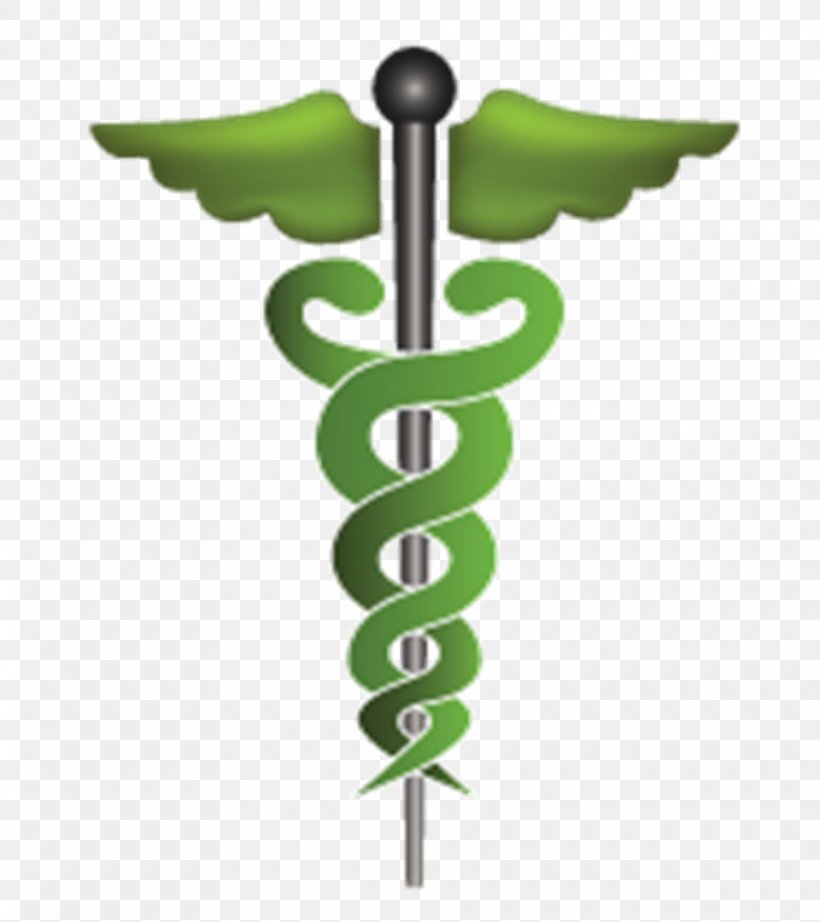 Staff Of Hermes Doctor Of Medicine Symbol Physician, PNG, 960x1080px, Staff Of Hermes, Asclepius, Caduceus As A Symbol Of Medicine, Doctor Of Medicine, Green Download Free