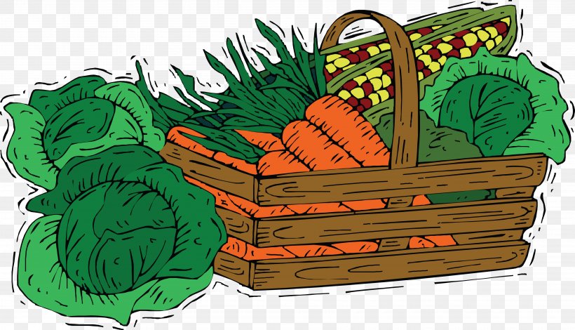 Carrot Cabbage Vegetable Drawing, PNG, 3600x2065px, Carrot, Basket, Brassica Oleracea, Cabbage, Digital Image Download Free