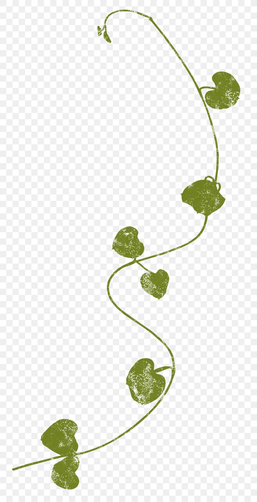 Leaf Plant Stem Clip Art, PNG, 774x1600px, Leaf, Branch, Brown, Copyright, Flora Download Free