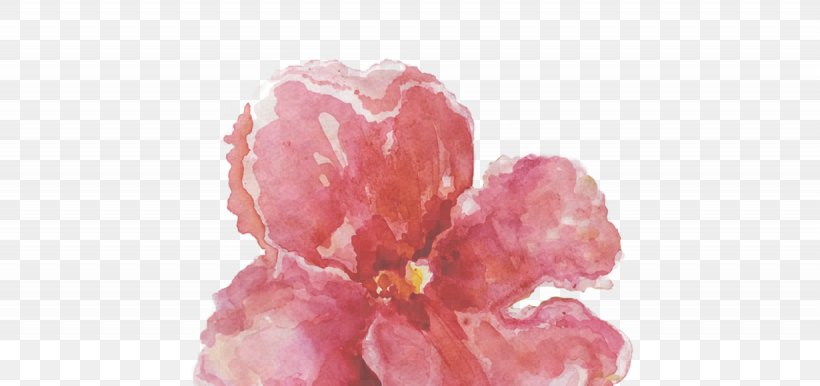 Petal Pink M Cut Flowers RTV Pink, PNG, 1230x580px, Petal, Cut Flowers, Flower, Flowering Plant, Pink Download Free