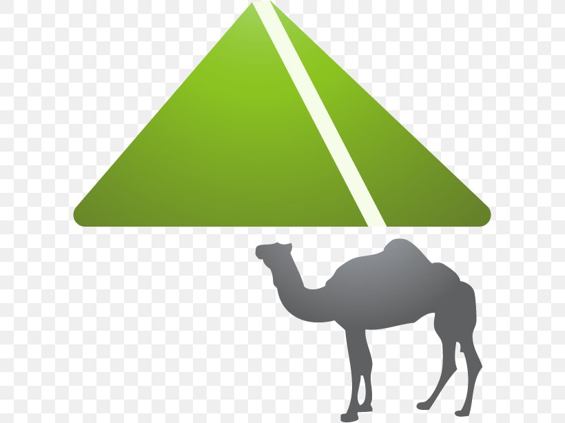 Camel Cartoon Icon, PNG, 607x614px, Camel, Animal, Camel Like Mammal, Cartoon, Grass Download Free