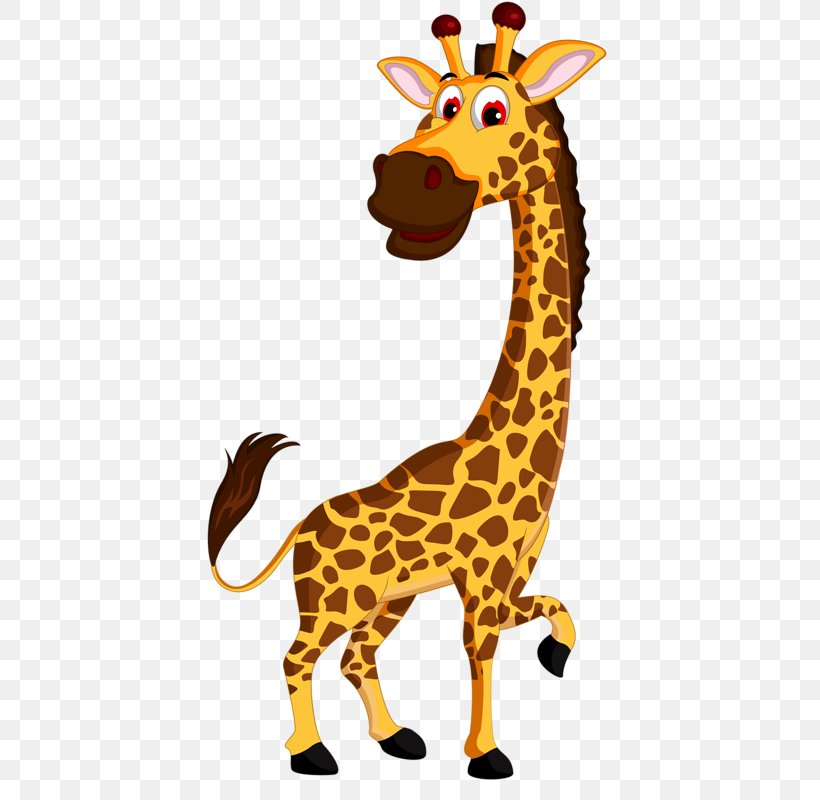 Cartoon Zoo Illustration, PNG, 435x800px, Cartoon, Fauna, Giraffe, Giraffidae, Illustrator Download Free