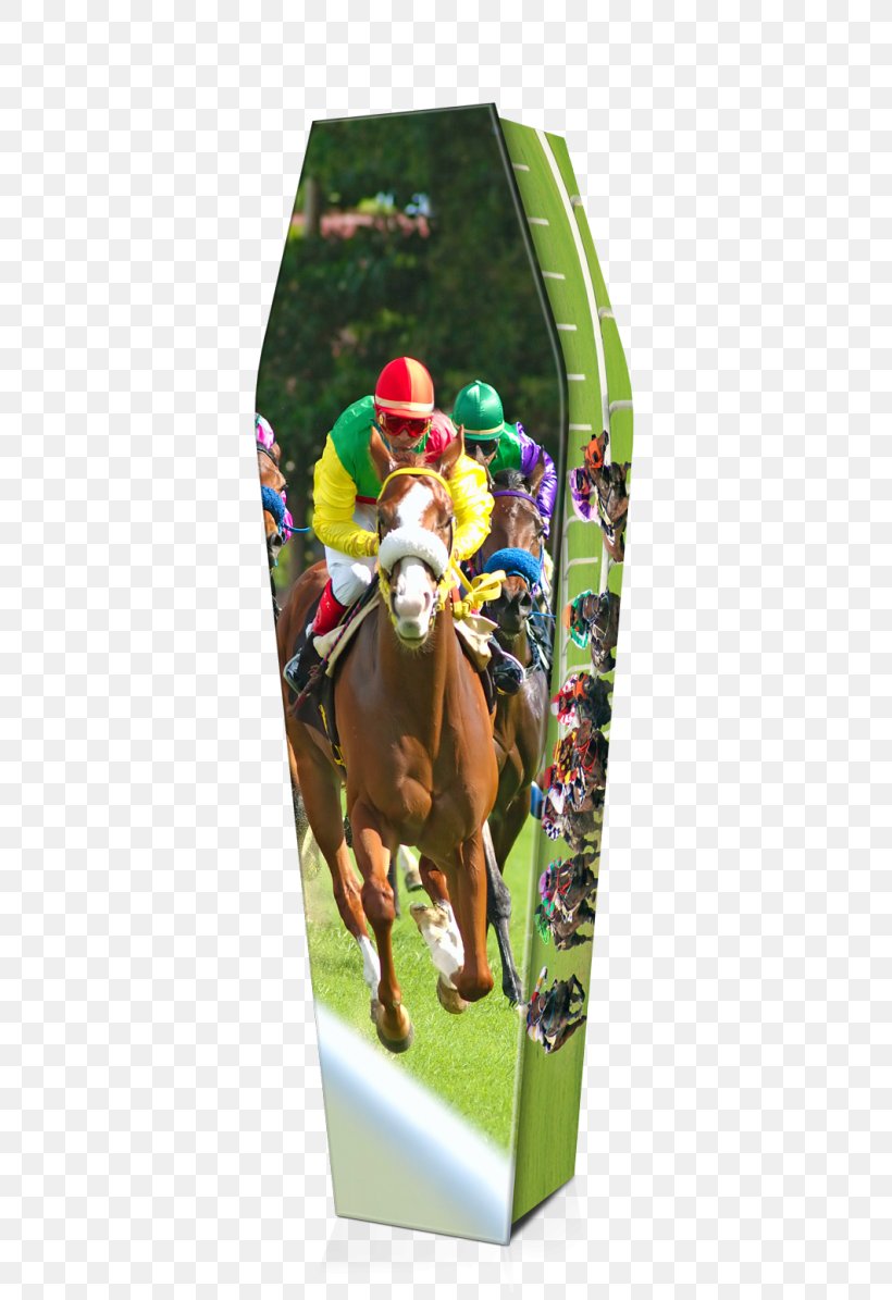 De Prijs Van De Cross Horse Racing Book Contribuição Para O Financiamento Da Seguridade Social, PNG, 800x1195px, Horse, Book, Coffin, Expression Coffins, Horse Like Mammal Download Free
