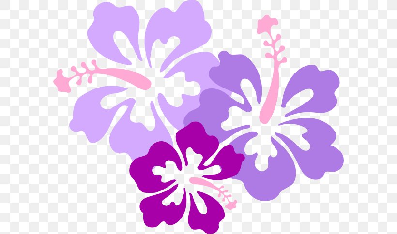 Hawaiian Language Clip Art Rosemallows Flower, PNG, 600x484px, Hawaii, Aloha, Drawing, Flora, Floral Design Download Free