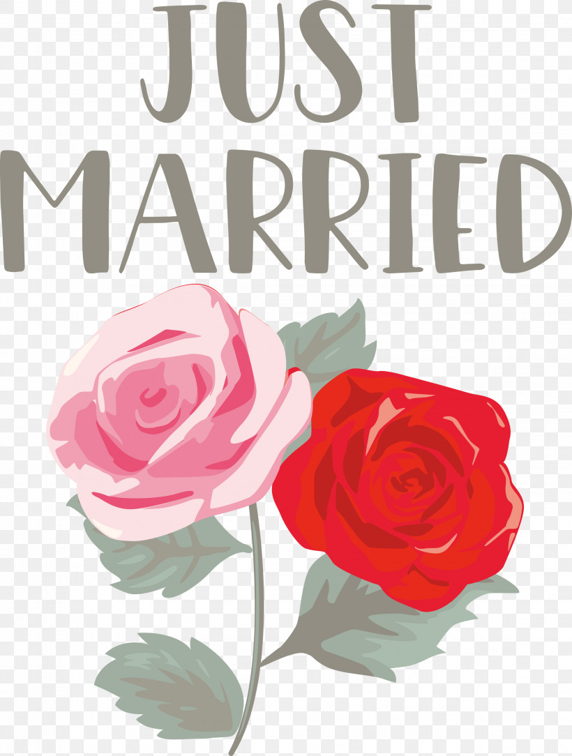 Just Married Wedding, PNG, 2269x3000px, Just Married, Blue Rose, Cabbage Rose, Cut Flowers, Floral Design Download Free