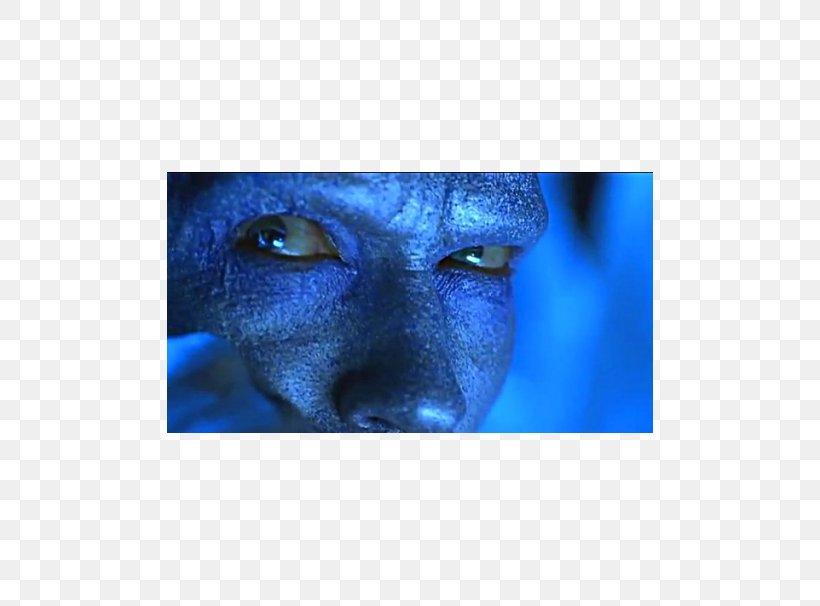 Snout Jaw Close-up Eye, PNG, 606x606px, Snout, Blue, Close Up, Closeup, Electric Blue Download Free