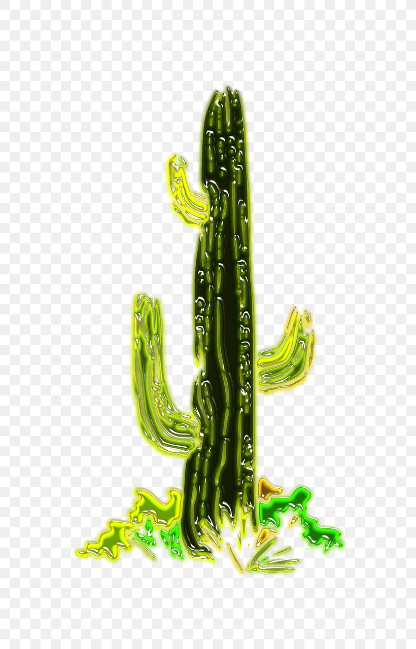 Cactaceae Desert California Barrel Cactus Landscape Plant, PNG, 591x1280px, Cactaceae, Barrel Cactus, Cactus, California Barrel Cactus, Caryophyllales Download Free