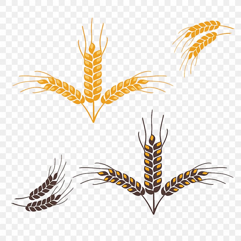 Euclidean Vector Wheat Download, PNG, 994x992px, Wheat, Commodity, Grass Family, Leaf, Photography Download Free