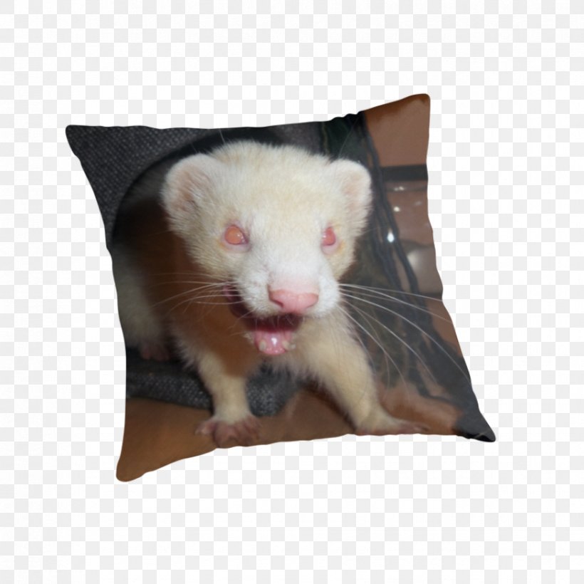 Ferret Rat Cushion Throw Pillows, PNG, 875x875px, Ferret, Animal, Cushion, Fur, Opossum Download Free