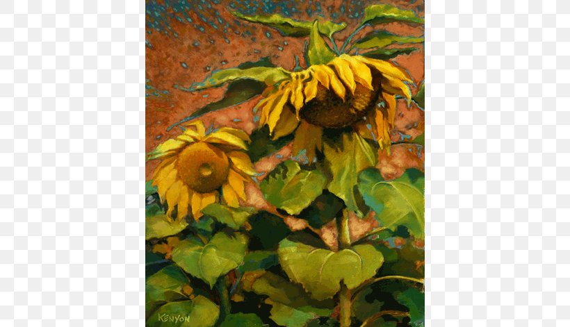 Common Sunflower Still Life Pastel Painting Art, PNG, 550x471px, Common Sunflower, Art, Artist, Daisy Family, Drawing Download Free