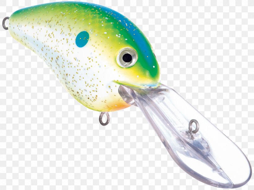 Fresh Water Fishing Baits & Lures Divemaster Color, PNG, 1200x900px, Water, Ac Power Plugs And Sockets, Bait, Citrus, Color Download Free