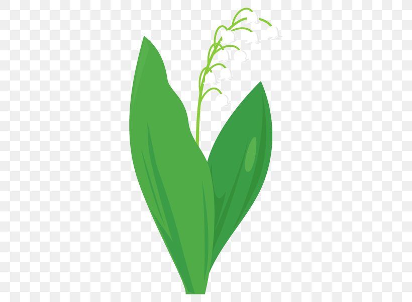 Lily Of The Valley Illustration Plant Stem Flower Text, PNG, 600x600px, Lily Of The Valley, Computer, Computer Font, Flower, Grass Download Free
