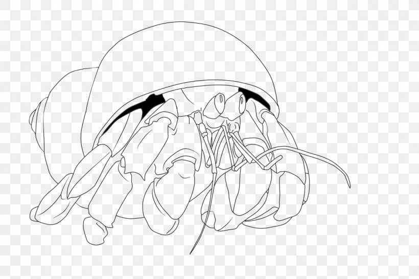 A House For Hermit Crab Coloring Book, PNG, 1200x800px, Crab, Animal, Artwork, Black, Black And White Download Free