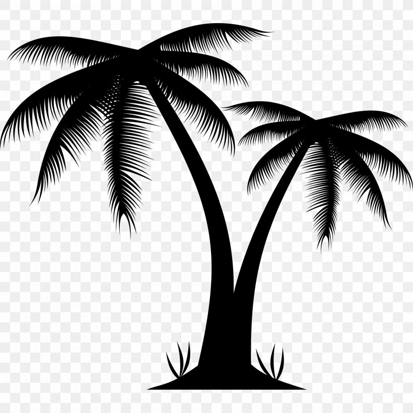 Arecaceae Tree Clip Art, PNG, 2000x2000px, Arecaceae, Arecales, Black And White, Cdr, Monochrome Download Free