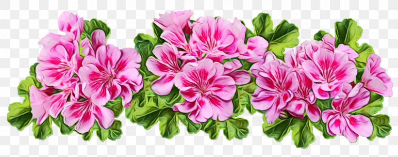Floral Design, PNG, 1280x506px, Watercolor, Azalea, Camera Lens, Cut Flowers, Floral Design Download Free