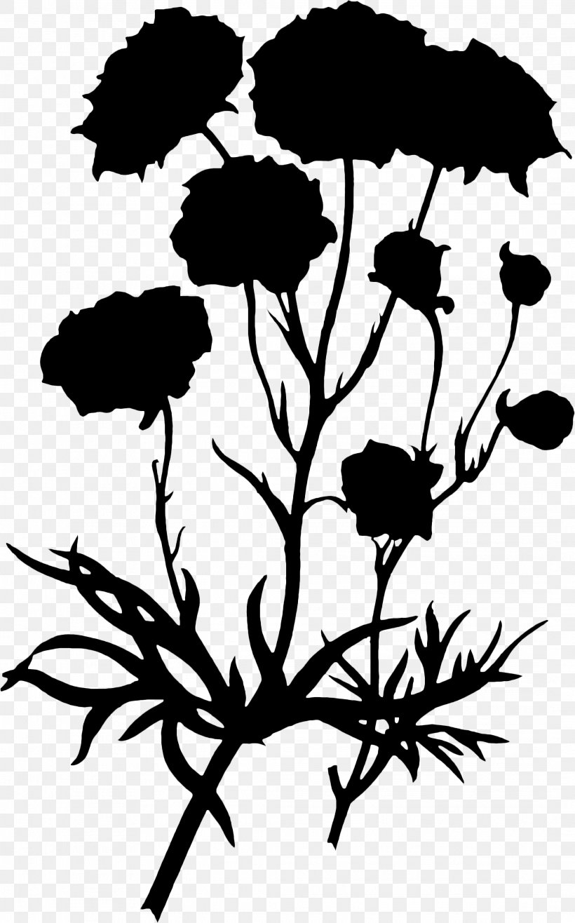 Floral Design Clip Art Leaf Plant Stem, PNG, 2134x3425px, Floral Design, Anemone, Art, Blackandwhite, Botany Download Free