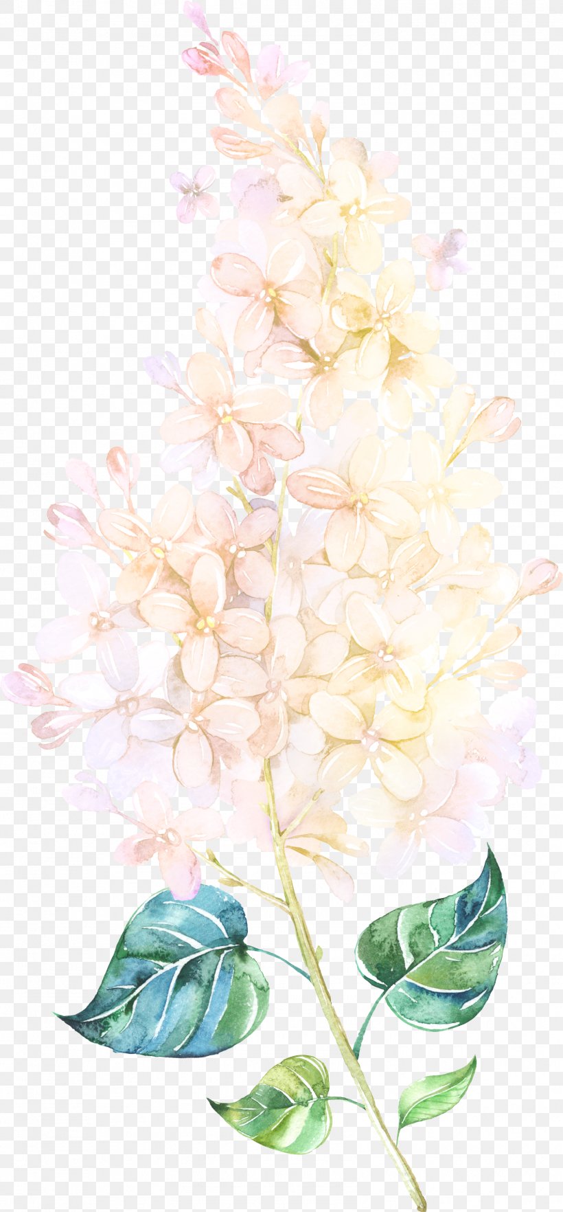 Flower Watercolor Painting Floral Design, PNG, 1604x3451px, Flower, Blog, Branch, Color, Designer Download Free