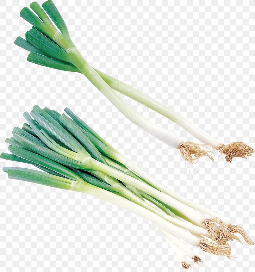 Onion Allium Fistulosum Vegetable Scallion, PNG, 2354x2517px, Onion, Allium Fistulosum, Eggplant, Food, Garlic Download Free