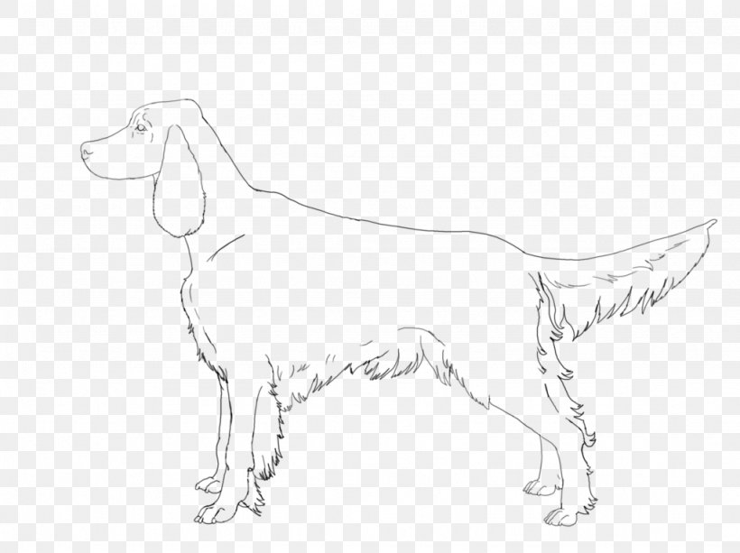 Dog Breed Sporting Group White Sketch, PNG, 1024x766px, Dog Breed, Artwork, Black And White, Breed, Carnivoran Download Free