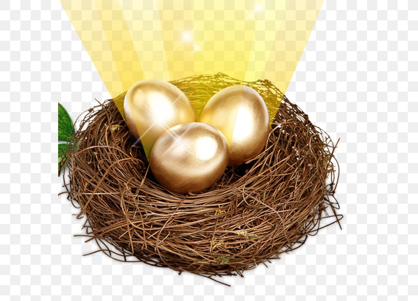 Egg Computer File, PNG, 591x591px, Egg, Bird Nest, Designer, Gratis, Nest Download Free